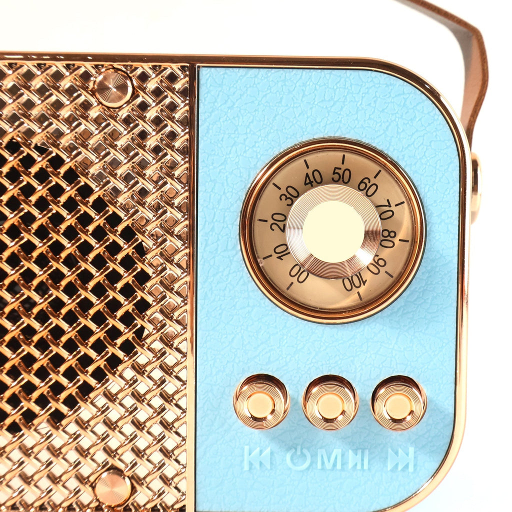 Vintage Speaker